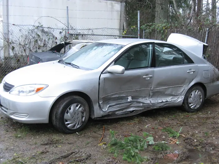 Family Car Wreck
